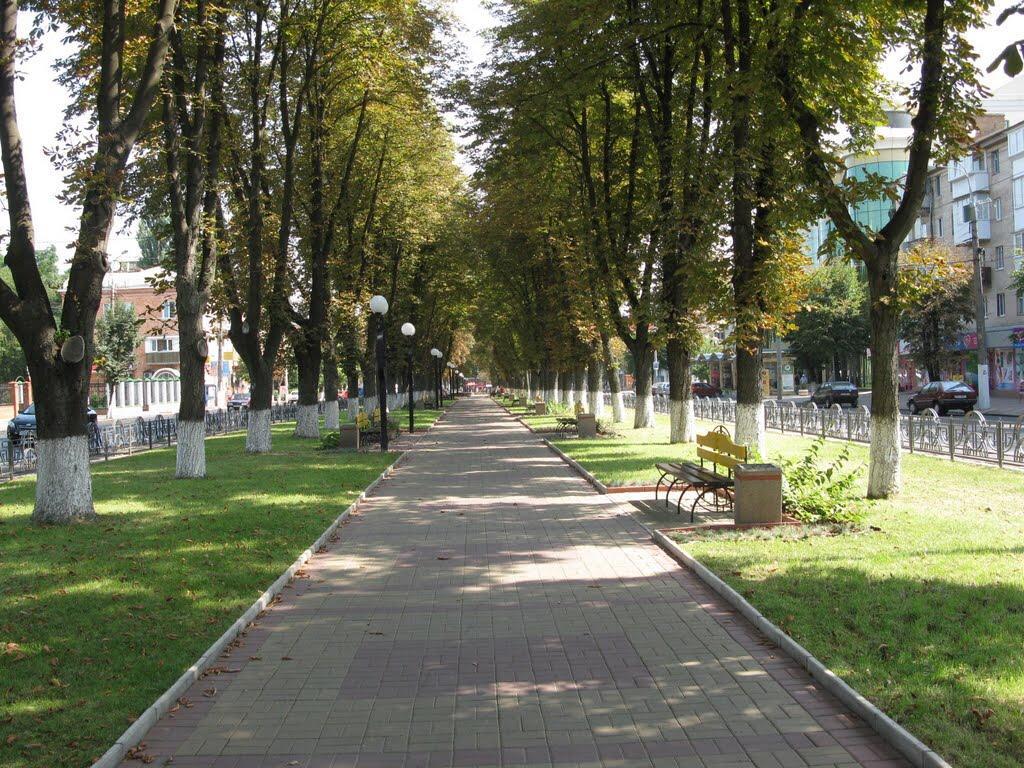 Неймовірно Затишна Студія У Центрі Міста Біля Лікарні Імені Пирогова Vinnytsia Exterior foto